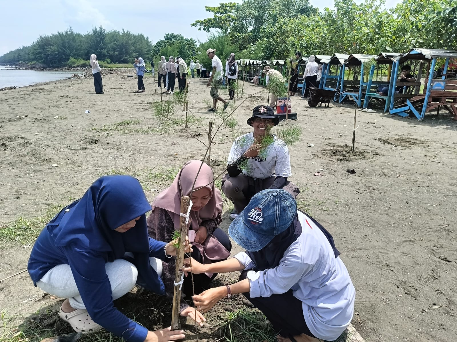 Jelang Hari Pahlawan, Gentara Ajak Ratusan Mahasiswa Lakukan Aksi Nyata Bersih Pantai dan Tanam Pohon di Pantai Maron